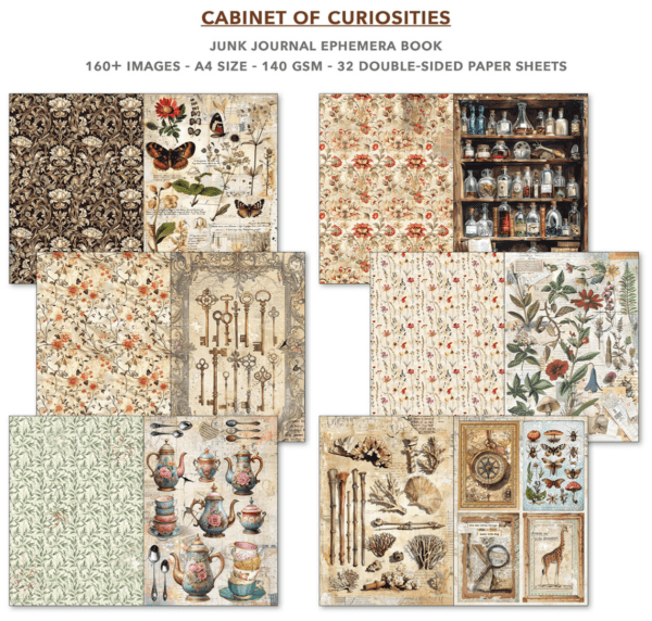 Gabinet of curiosities - immagine 2