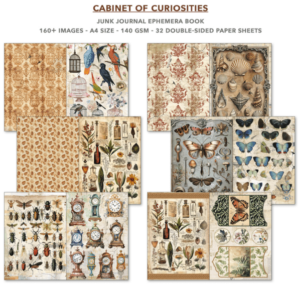 Gabinet of curiosities - immagine 3