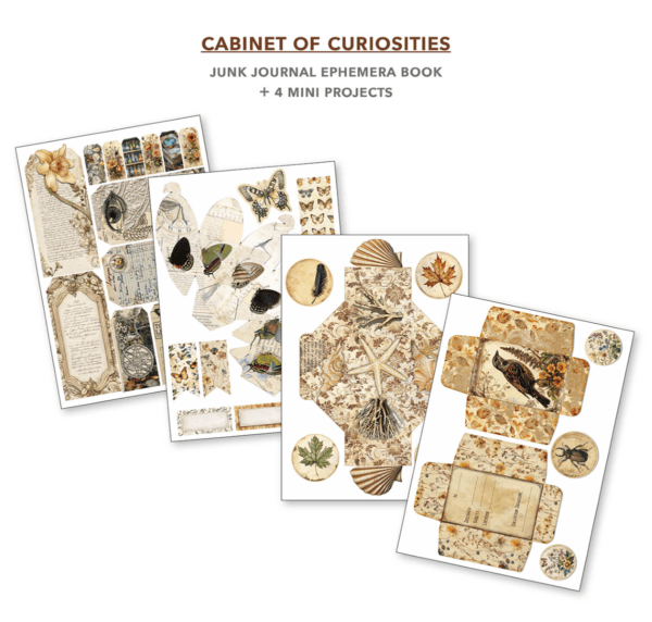 Gabinet of curiosities - immagine 4