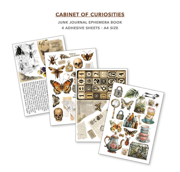 Gabinet of curiosities - immagine 5