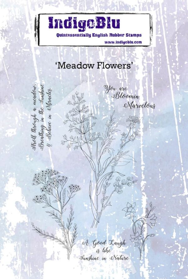 Meadow Flowers'